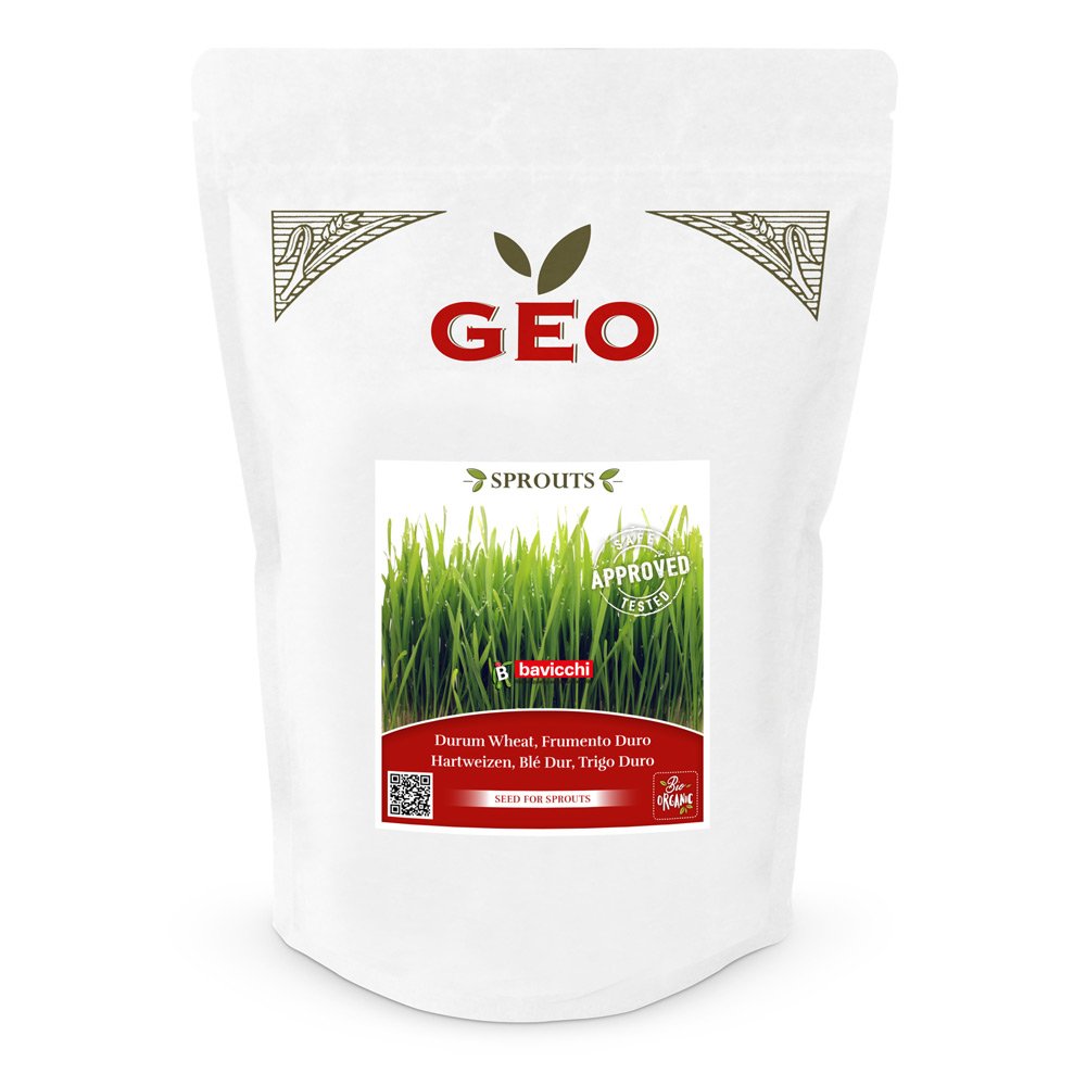 Geo Sprouts Weizengras Keimsaaten in Verpackung