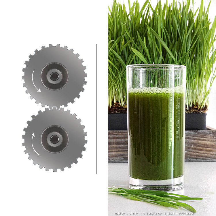 Green Star Elite doppelte Presswalzen Green Star Elite doppelte Presswalzen