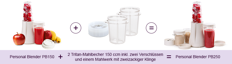 Erklär-Grafik Personal Blender PB 250