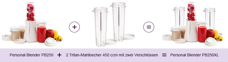 Erklär-Grafik Personal Blender PB250XL
